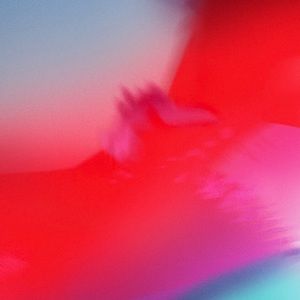 Meet your Posher, Lillian